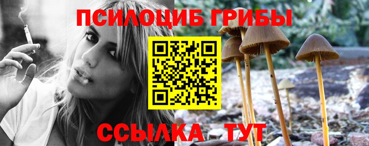 Отрадный  Галлюциногенные грибы мицелий  продажа наркотиков  Галлюциногенные грибы мухоморы  Вход с VPN 